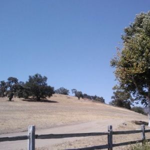 Meet your Posher, Jade